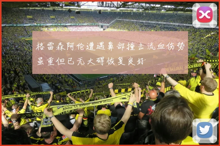 格雷森阿伦遭遇鼻部撞击流血伤势虽重但已无大碍恢复良好