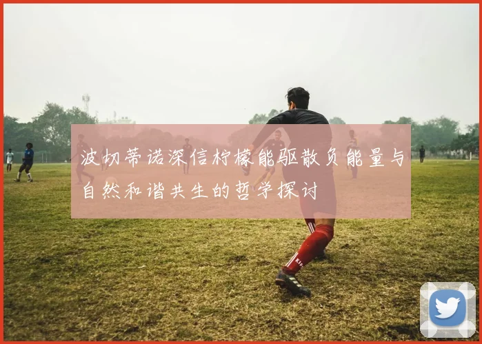 波切蒂诺深信柠檬能驱散负能量与自然和谐共生的哲学探讨